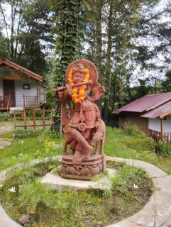 Himgiri Nature Retreat - Rājgarh - 3