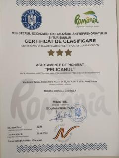 Apartament Pelicanul - Tulcea - 9
