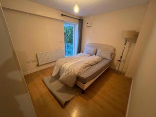 Entire 2 Bedroom Flat in London - Londen - 4