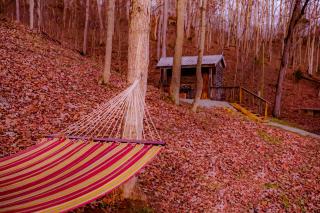 Ohio Starlight Glamping Cabins - A Peaceful Woodland Retreat - - 8