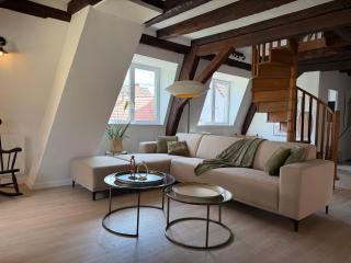Le JOLIE DUPLEX - Colmar - 0