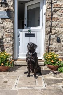 Frog House - Reeth - 9