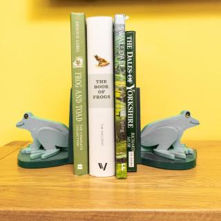 Frog House - 5