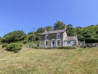Dolwylan Cottage - Llandysul - 9