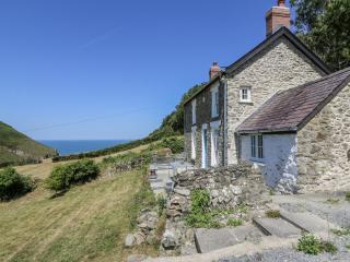 Dolwylan Cottage - Llandysul - 0