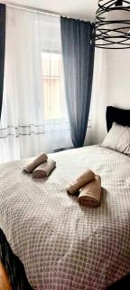 Apartman Lena - Vrnjačka Banja - 5