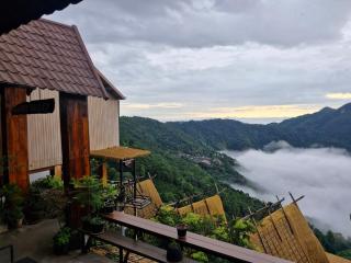 Phahee valley ผาฮี้วัลเล่ย์ - Ban Ko Doi Tung - 5