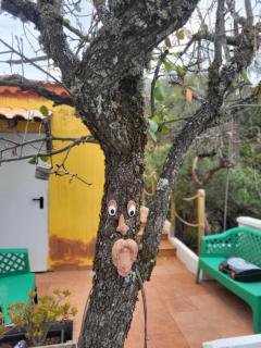Villa Rita - 7