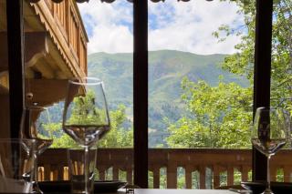 Fleur des Alpes 102 - Mussillon - 7