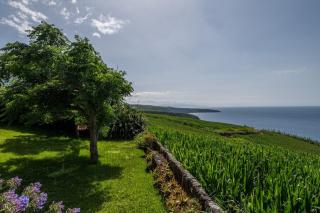 Village peacefull house - Achada - 5