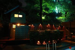 Swiss Holidays - Pinangode - 9