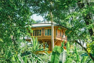 Carenero Hills - Beach and Surf Bungalows - Bocas del Toro - 5