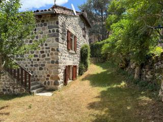 Gite LES SOURCES, 9 pers, 11 couchages - Arlempdes, classé un des plus beaux villages de France - Arlempdes - 5