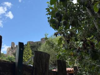 Gite LES SOURCES, 9 pers, 11 couchages - Arlempdes, classé un des plus beaux villages de France - Arlempdes - 3