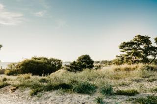 Hotel Toftagården - 4