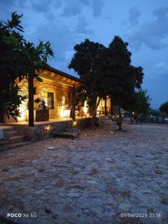 Tapada das Carvalhas - Castelo Branco - 3