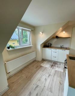 The Green Oasis Studio - Tapa - 2