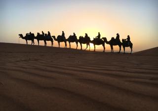 Pearl Merzouga Camp - Merzouga - 5