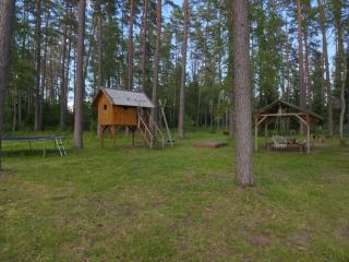 NeriPaulis - Ažvinčiai - 8