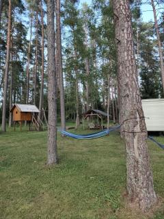 NeriPaulis - Ažvinčiai - 5