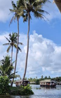 Adavan boat house - Kumarakom - 6