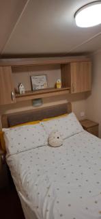 The Humble Bee - Cleethorpes - 1