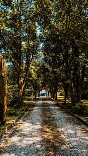 Villa Trigatti Michieli - - 5