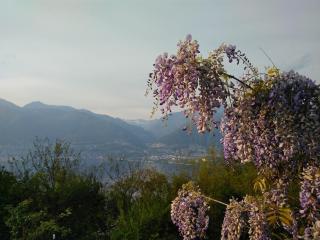Sun, fun & relaxation, the Ticino for you! - 0