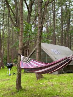 Sanovia Glamping - - 8