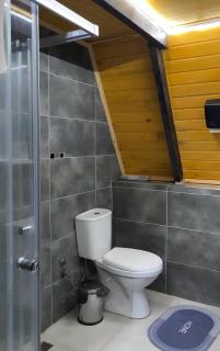 The Grand River View Bungalow - Çamlıhemşin - 4