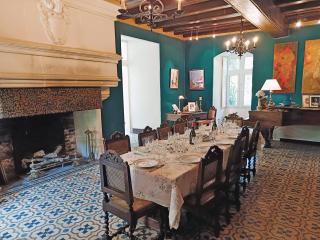 Chateau de Coubloust - Vicq-sur-Nahon - 4