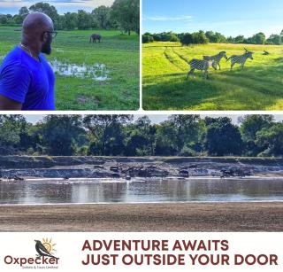 Oxpecker Safaris and Tours Limited - - 0