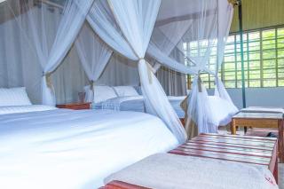 Oxpecker Safaris and Tours Limited - - 7