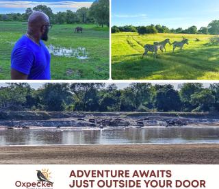Oxpecker Safaris and Tours Limited - - 1