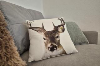 Schlössl Stanggaß Ferienwohnung Alpennest - 5