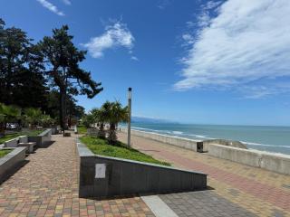 Mountainview - 2