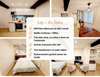 Studio entièrement équipé - Cailloux-sur-Fontaines - 8