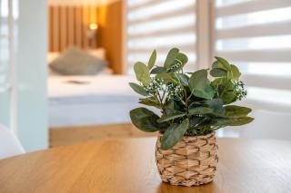 Tinyhaus Supreme für 1-4 Personen - Fuchsmühl - 4