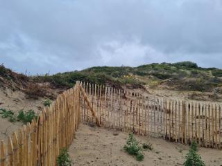 La clé des Dunes - Fort-Mahon-Plage - 2