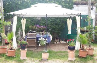 Der Konikhof, Natur, Ruhe, R-Auszeit - - 4