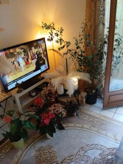 Comme A La Maison Chez Domi Coquet T2 Avec Jardin Accueil Chaleureux - Toulouse - 6