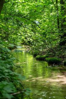 Mandala Źródła Natury SPA - 3