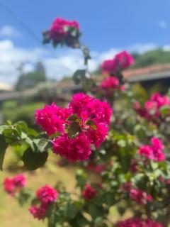 Pousada Rosemary Suítes - 1