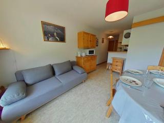 Appartement 2 Pièces Cabine avec Balcon Sud - Proche Pistes et Commerces - FR-1-241-188 - Le Grand-Bornand - 0