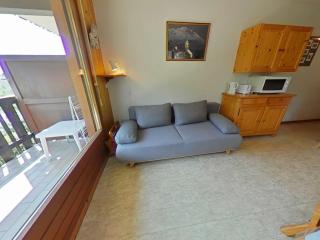 Appartement 2 Pièces Cabine avec Balcon Sud - Proche Pistes et Commerces - FR-1-241-188 - Le Grand-Bornand - 6