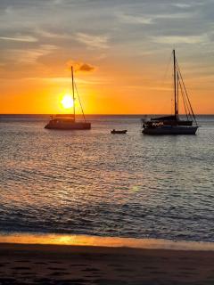 Échappée nature, montagne et mer - Le Morne-Vert - 3