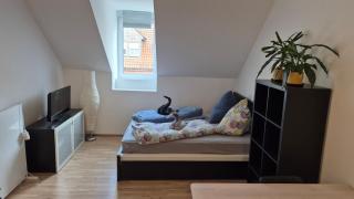 City Central Apartment Richard - Kaiserslautern - 5
