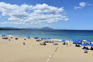 Alicia Beach, Hispaniola Sol, great location - no car needed! - Sosúa - 9