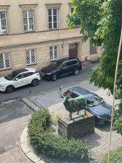 Nowy Świat - Centrum, Stare Miasto ,Atrakcje na krok - Varsovie - 6