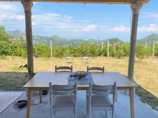 Rudinica Baseglamp - 7